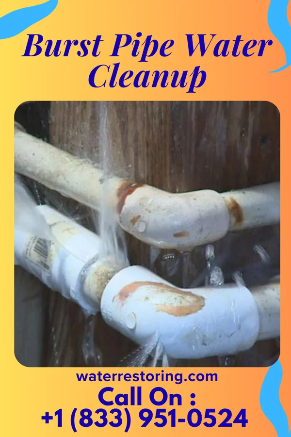 Burst Pipe Water Cleanup in Spirit Lake, IA