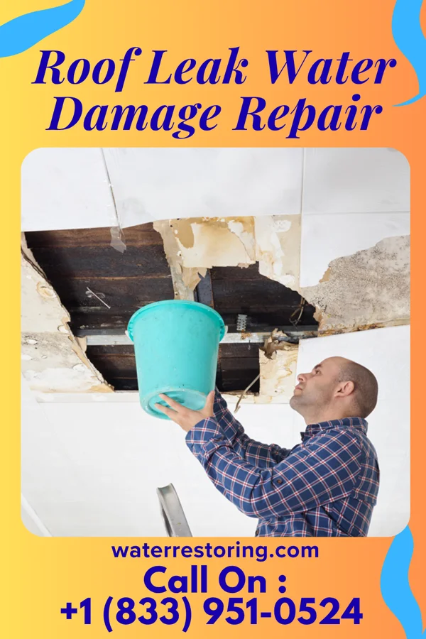 Roof Leak Water Damage Repair in Spirit Lake, IA